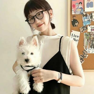表兄本的营队放映活动